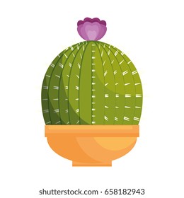 cactus icon image