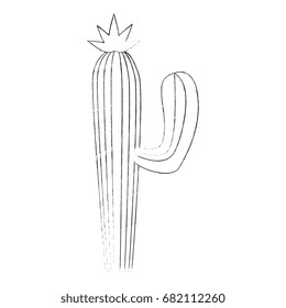 cactus icon image