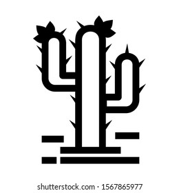 cactus icon isolated sign symbol vector illustration - high quality black style vector icons
