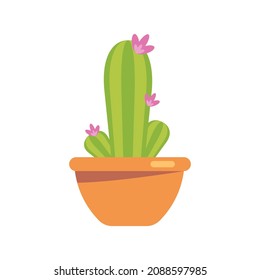 Cactus icon on isolated white background. Houseplant, succulent.Colored vector illustration cartoon flat style.