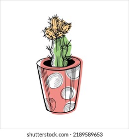 Cactus icon in outline style isolated on white background vector illustration.