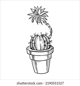 Cactus icon in outline style isolated on white background vector illustration.