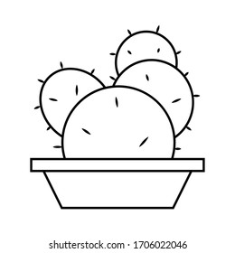 Cactus icon in a pot plant. Cactus outline - Vector illustration