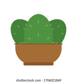 Cactus icon in a pot plant - Vector illustration