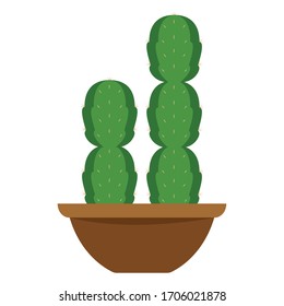 Cactus icon in a pot plant - Vector illustration