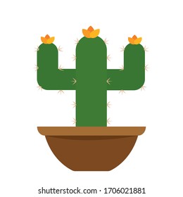 Cactus icon in a pot plant - Vector illustration