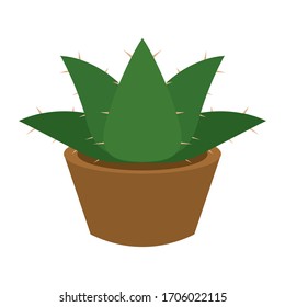 Cactus icon in a pot plant - Vector illustration