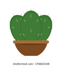 Cactus icon in a pot plant - Vector illustration