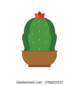 Cactus icon in a pot plant - Vector illustration