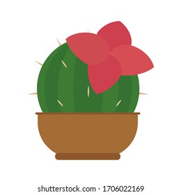 Cactus icon in a pot plant - Vector illustration
