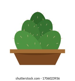 Cactus icon in a pot plant - Vector illustration