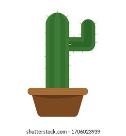 Cactus icon in a pot plant - Vector illustration