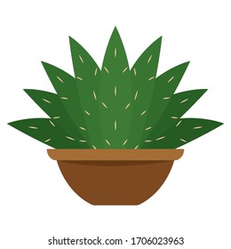 Cactus icon in a pot plant - Vector illustration