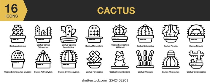 Conjunto de iconos de cactus. Incluye cactus, planta, ferocactus, suculentas, plantas de maceta, plantas domésticas y más. Colección de Vector de iconos de contorno.