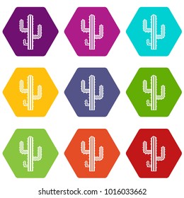 Cactus icon set many color hexahedron isolated on white vector illustration