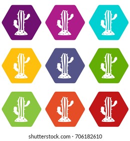 Cactus icon set many color hexahedron isolated on white vector illustration