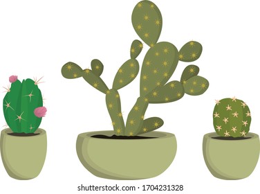 Iconos de vectores de plantas sucesivos Cactus Small Pack