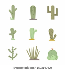 Cactus icon set.Vector collection of exotic plants.Decorative natural plant elements isolated on a white background in flat style.