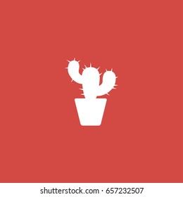 cactus icon. sign design. red background
