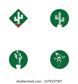 Cactus icon and symbol vector illustration