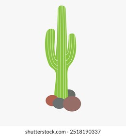 Vector de icono de cactus. Jardín botánico de plantas Ilustración tropical de verano. Ilustraciones de cactus de arte de línea