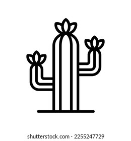 cactus icon vector design template in white background