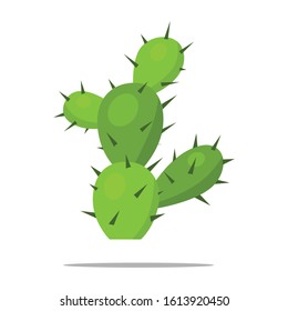 Cactus icon. Vector, illustration, flat
