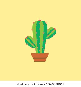 cactus icon vector, illustration, cactus pot, succulent