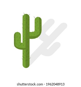 cactus icon vector isolated on white background. illustration