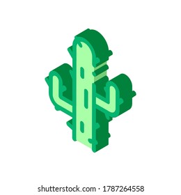 Cactus Icon Vector. Isometrisches Kaktuszeichen. farbige einzelne Symbolillustration