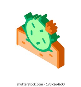 Cactus Icon Vector. Isometric Cactus sign. color isolated symbol illustration