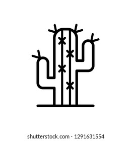cactus icon vector logo template