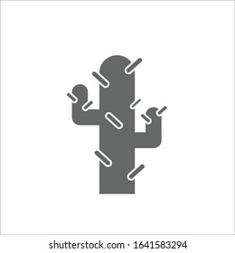 Cactus icon, cactus vector on white backgorund