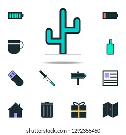cactus icon. web icons universal set for web and mobile