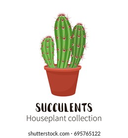 Cactus icons in cartoon flat style isolated on white background. Home plants cactus in pots. A variety of decorative cactus with prickles and without.