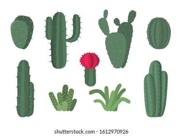 Cactus icons Collection. Set of various cacti isolated on white background.  Cartoon Vector illustration.