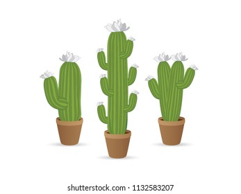 Cactus icons in a flat style on a white background. 