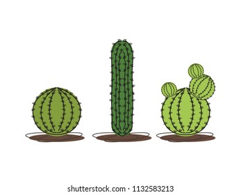 Cactus icons in a flat style on a white background. 