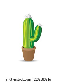 Cactus icons in a flat style on a white background. 