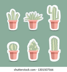Cactus icons in a flat style on background