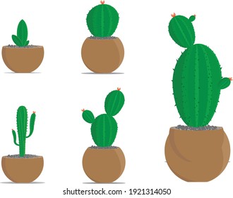 Cactus icons in a flat style on a white background. Home plants cactus. cactus pot home plant vector art. A variety of decorative cactus with prickles and without 5 deferents types. use for commercial