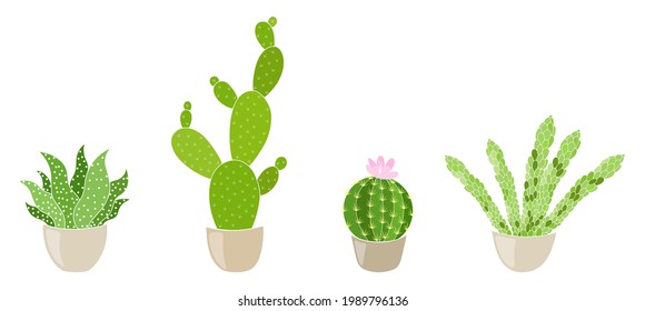 Cactus icons in a flat style on white background. Home plants cactus in pots and with flowers. Cactus logo
