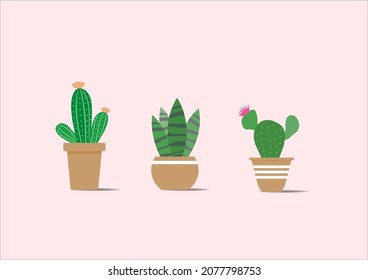 Cactus icons in a flat style on a pink background.set of cactus in pots