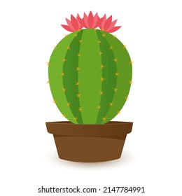 Cactus icons in flat style on white background. Homemade cactus in a pot and flowers. Variety of decorative cacti with thorns