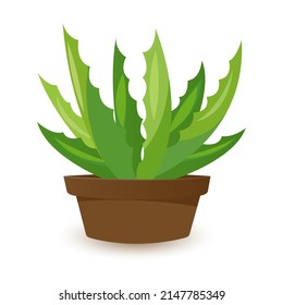 Cactus icons in flat style on white background. Homemade cactus in a pot and flowers. Variety of decorative cacti with thorns