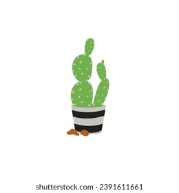Cactus icons in a flat style on a white background. Home plants cactus in pots and with flowers. A variety of decorative cactus with prickles and without.