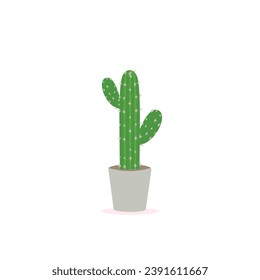 Cactus iconos en un estilo plano sobre un fondo blanco. Las plantas de los hogares caen en macetas y con flores. Una variedad de cactus decorativos con picaduras y sin ellas.