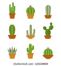 Cactus icons in a flat style on a white background. Home plants cactus in pots and with flowers. A variety of decorative cactus with prickles and without. 