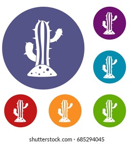 Cactus icons set