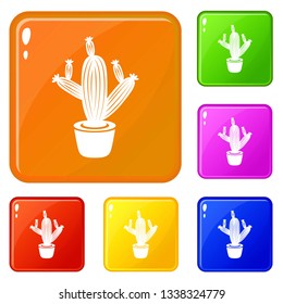 Cactus icons set collection vector 6 color isolated on white background